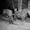 Värd en blomma i Mårdshyttan.
29 januari 1955