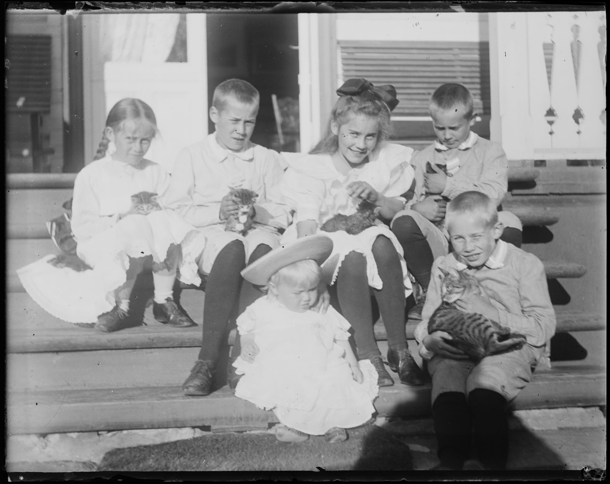 Seks barn sitter på en trapp. Øverst, fra venstre: Louise Julie Jeanette (Ise) Mathiesen, Haaken Christian Mathiesen, Celina Marie Louise Mathiesen, Christian Pierre Mathiesen. Nederst, fra venstre: Jacob Ihlen Mathiesen og Eric Monsen Mathiesen. Alle barna utenom den yngste har en katt på fanget.