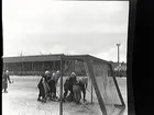 Bandy, Eyravallen.
Situationsbilder från ÖSK-Köping 9-1.