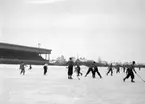 Bandymatch, landskampen Sverige-Norge på Eyravallen.