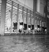 Interiör av gymnastiksal, Örebro Arbetarnas Gymnastikförening (Ö.A.G.F.), gymnastiktrupp.