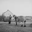 En man med hund, en häst.
Bostadshus i bakgrunden.