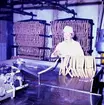 Robertsons Charkuteri, interiör, korvtillverkning, en kvinna.