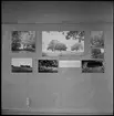 Trollhättan. Utställning: Fornminnesvård-Landskapsvård. 7/7-14/9 1969.