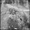 Fornlämning nr 3. Nycklabacken. Rotvälta på gravhög
Rotvälta på gravhög.