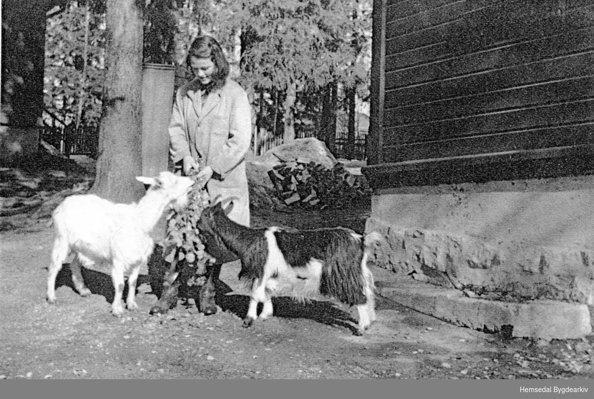 Wanda Schultz med geitene ho kjøpte då ho var tenestejente hjå Aslaug Viljugrein på stølen i Kljåen i Hemsedal.