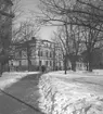 Karolinska läroverket, biblioteket.
18 mars 1946