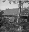 Thorshamarsbacken, fornlämningar. Byggnad.
18 juni 1951.