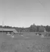 St. Älberg, byggnader.
26 juni 1952.