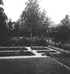 Siggebohyttans bergsmansgård, trädgården.
23 augusti 1953.