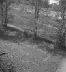 Siggebohyttans bergsmansgård, trädgården. Bergsmansgården i bakgrunden.
27 juni 1955.