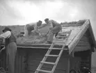 Fjugesta hembygdsgård, takläggning.
Bilden tagen år 1954.