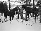 Kavalleriskolan 1908-09 samt tävlingar 1911-14.