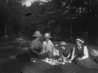 Kaffedrickande i gröngräset, fyra kvinnor och en pojke.
Från vänster: Harald Pettersson (givarens pappa), Olga Pettersson , ej namngiven, Ester Pettersson och Ingrid Pettersson (givarens fastrar).