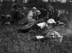 Picknick, grupp åtta personer i gröngräset.