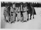 Soldater från Västernorrlands Regemente I21 Sollefteå uppställda med snödräkter i vinterlandskap.