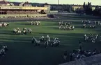 Folkdans och spelmansstämma i Örebro 16-19 juli 1965 i samband med Örebros 700 årsjubileum.
Dansuppvisning på Eyravallen.