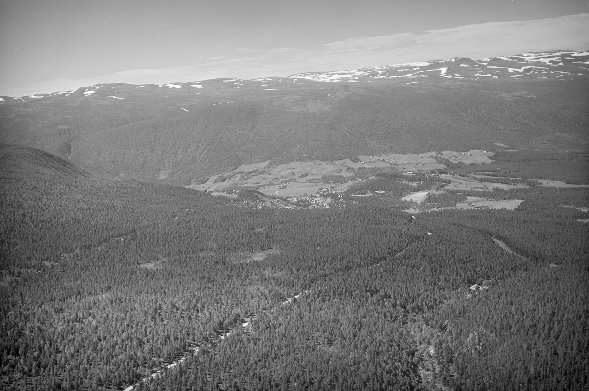 Dombås, Dovre, 08.07.1952, oversiktsbilde, fjell med snøflekker i bakgrunnen, barskog, vei, jordbruk, gårdsbruk, kulturlandskap