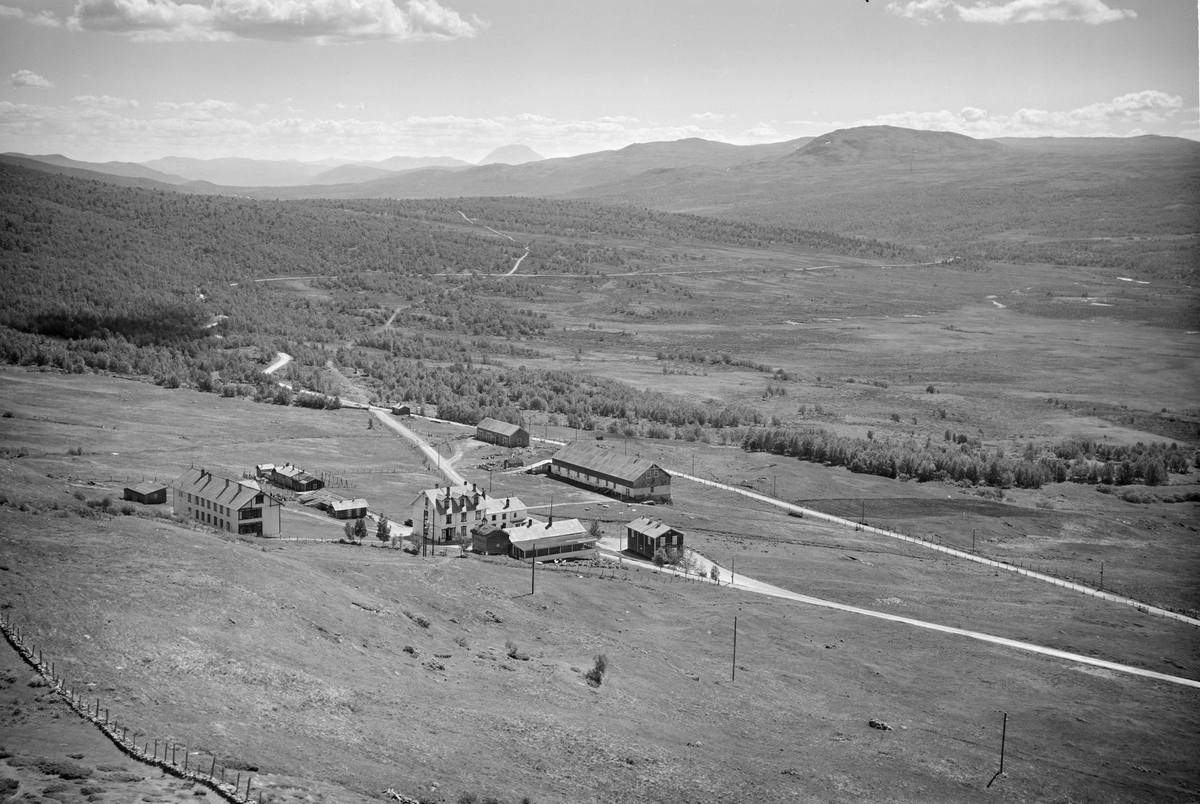 Hjerkinn fjellstue, Dovre, 08.07.1952, veier, blandingsskog, fjell i bakgrunnen