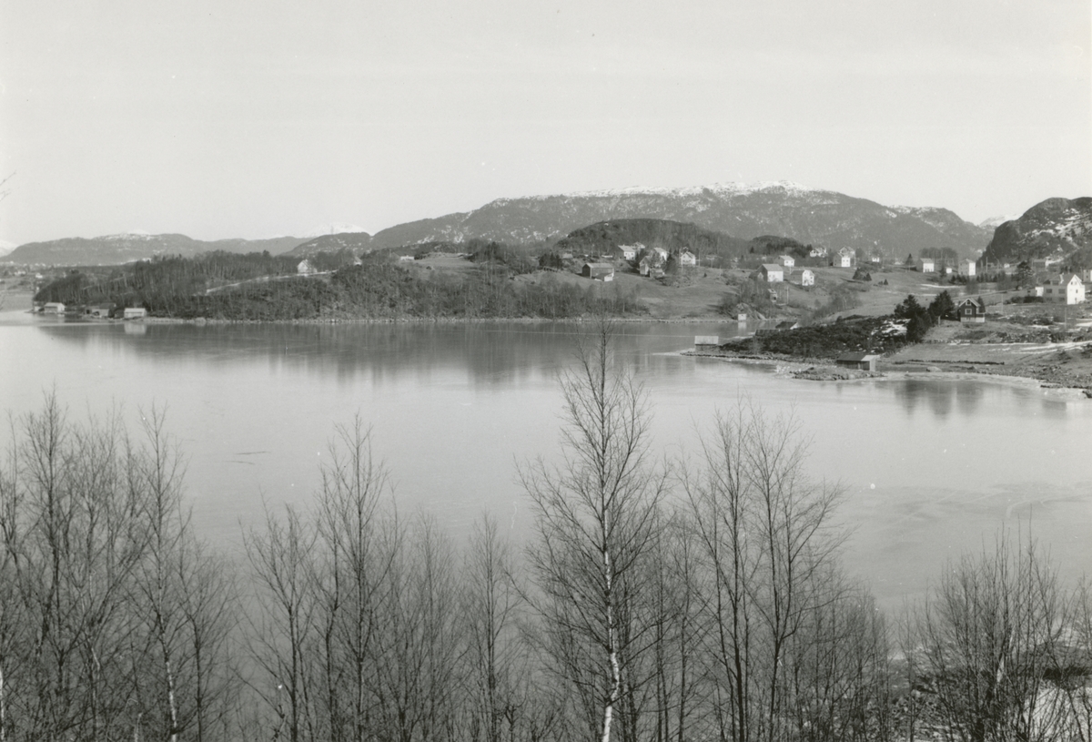 Prospektfotografi mot Bjørkavågen på Sula.