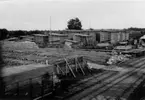 Från skogsbygdens näringsliv: brädgård vid sågen vid Kilsmo station.