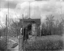 Örebro kolonien.
Stuga, ett par framför stugan. Karl Hedström.
