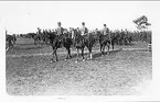 Kavalleriskolan 1908-09 samt tävlingar 1911-14.  
Regementsmötet i Skövde 1912. 5 skvadronen. Reutersvärd, G von Essen, Knickenberg, fanjunkare Lundström.