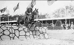 Kavalleriskolan 1908-09 samt tävlingar 1911-14.   
Löjtnant Clas Thott på Cordosa vid ryttarspelen i Malmö maj 1913.