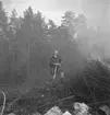 Pyromanbränderna i Kopparberg den 19 juni 1961. Brandsläckning.