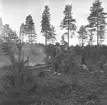 Pyromanbränderna i Kopparberg den 19 juni 1961. Brandsläckning.