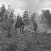 Pyromanbränderna i Kopparberg den 19 juni 1961. Brandsläckning.