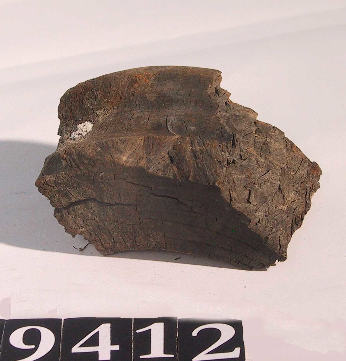 Blokkskive fragment av pukkenholt.