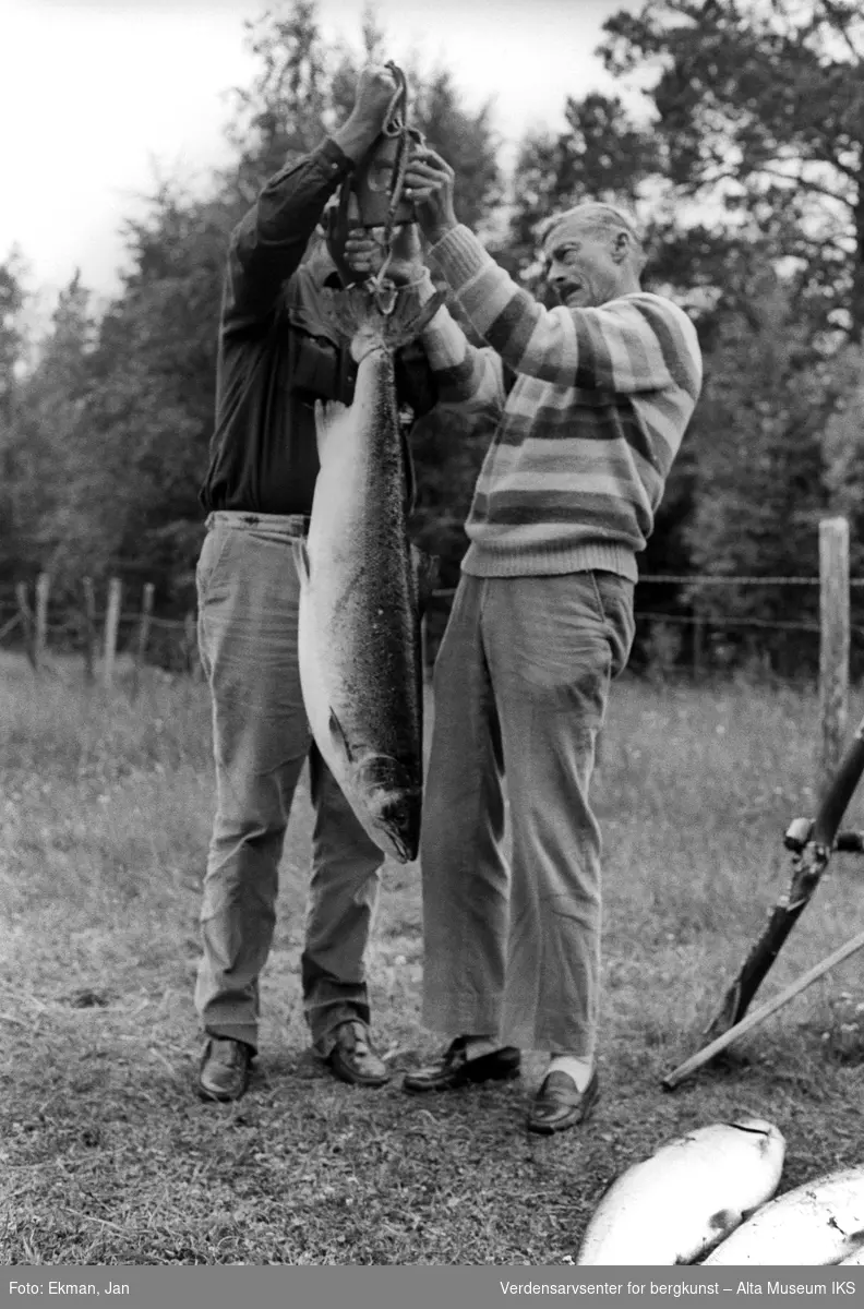 Fangst med personer.

Fotografert mellom 1979 og 1980.

Fotoserie: Laksefiske i Altaelva i perioden 1970-1988 (av Jan Ekman).
