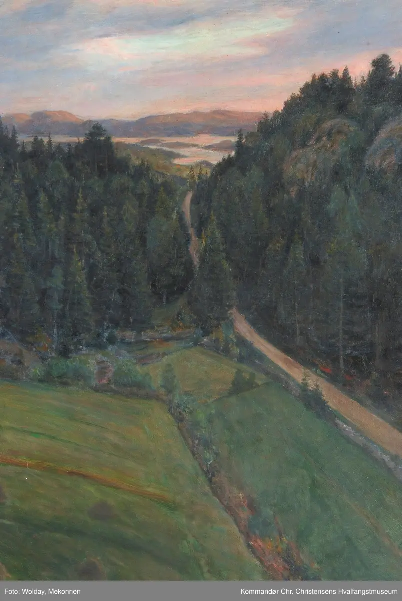 Skog, jorder, vei og fjord i bakgrunnen.