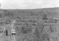 Løten, Løiten Almenning. Torvmyr, sannsynligvis Ebrumyra, uk