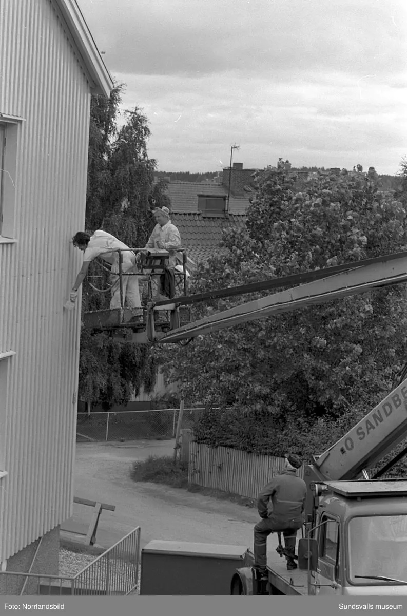 Forslunds Måleri AB. Bilder från verksamheten med utvändig och invändig målning och tapetsering på olika adresser, bland annat Bleckslagaregatan 4 och Jakobsdalsgatan 6.