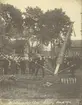 Midsommar vid Österby Bruk 1916.