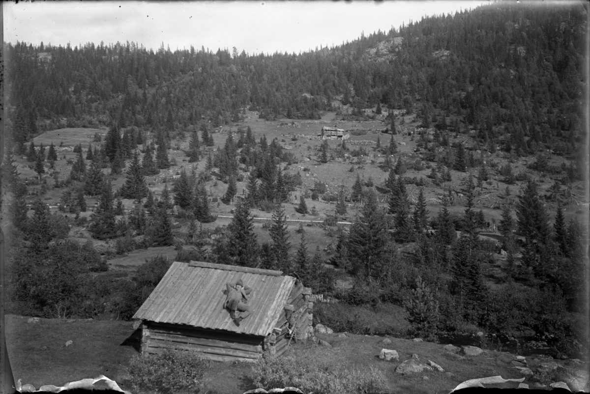 Fotsamling etter Hans Tveito. Hans Tveito på taket, støylen Vesle Hestjos under Heggstøyl i Støylsdalen, Lårdal. På andre sida av dalen, husmannsplassen Midtbø.