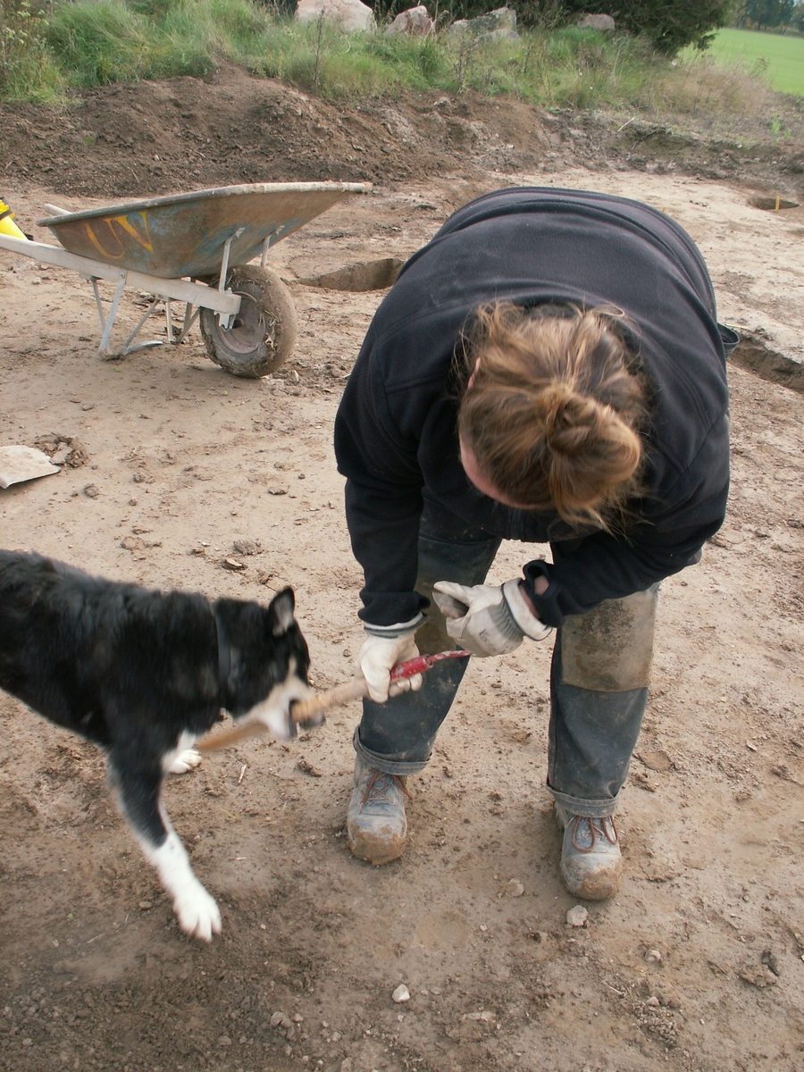 Arkeologisk slutundersökning, Raä 433, arbetshund, Fansta, Bälinge socken, Uppland, 2006