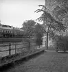 Örebro slott.
Juni 1938.