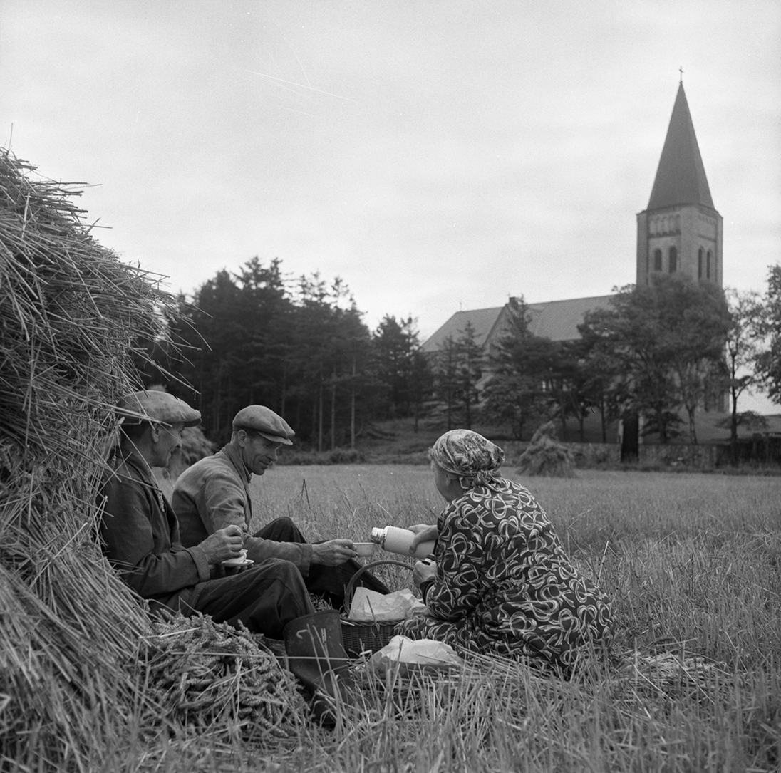 Trekaffe. Kafferast under skördearbete vid Ölmevalla kyrka. 
Bild 1: Gustav Morgan Magnusson, Knut och Maria Öberg med kyrkan i bakgrunden.
