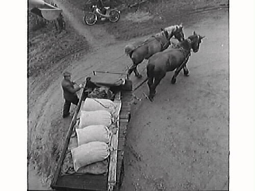 Bönderna i Ölmevallla och Fjärås brukade mala sitt mjöl i Torpa kvarn. Kvarnen var särskilt bra eftersom man kunde få tre sorters mjöl: sikt, toppmalet, sammalet.