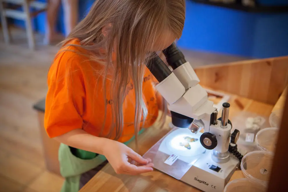 Foto av en jente som ser i lupe