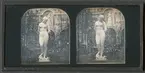 Stereoskopisk daguerreotyp med motiv av skulptur i Crystal Palace vid Världsutställningen i London efter dess flytt till Sydenham 1854 då Negretti and Zambra fick fick exklusiv rätt att fotografera utställningen.