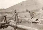 Alunbruk
Karställe. Från de sista arbetena vid bruket.
Skåne. Albo hd. Andrarum sn.
Foto Källgren. Orig. tillhör Förvaltare F. Larsson, Kristinehof, Lövestad
(Foto 1910)