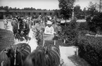 Ljusbild, fotografi från Nordiska arkitekturmötet på Gotland 1920.