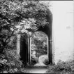 Ljusbild, fotografi från Nordiska arkitekturmötet på Gotland 1920.