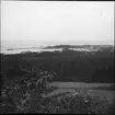 Ljusbild, fotografi från Nordiska arkitekturmötet på Gotland 1920. Vy över skog och hamn.