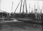 Bild visande skråverksamhet.
Gruppbild av män i hamn, smeder 1918.