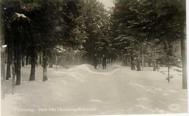 Parti från Planteringsförbundets park.